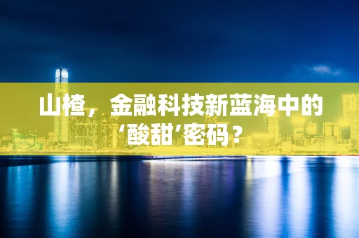 山楂，金融科技新蓝海中的‘酸甜’密码？