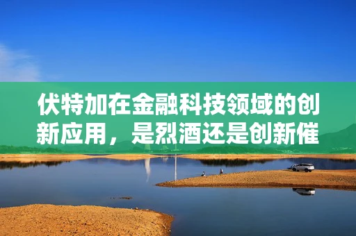 伏特加在金融科技领域的创新应用，是烈酒还是创新催化剂？