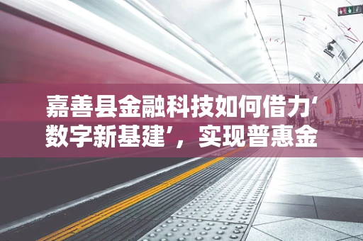 嘉善县金融科技如何借力‘数字新基建’，实现普惠金融新飞跃？