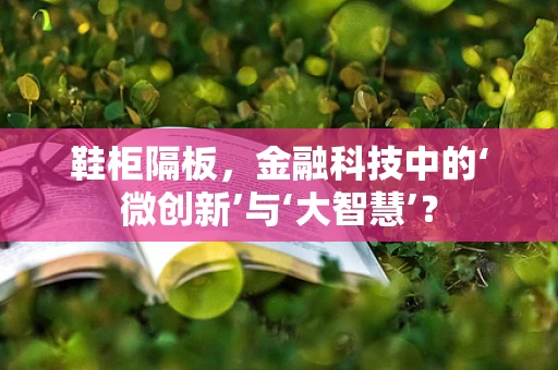 鞋柜隔板，金融科技中的‘微创新’与‘大智慧’？