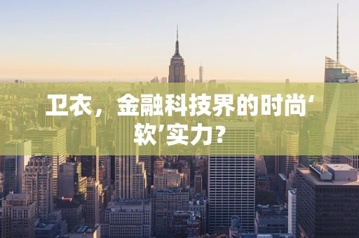 卫衣，金融科技界的时尚‘软’实力？
