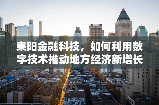 耒阳金融科技，如何利用数字技术推动地方经济新增长？