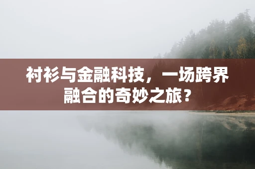 衬衫与金融科技，一场跨界融合的奇妙之旅？