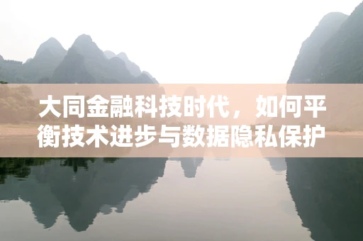 大同金融科技时代，如何平衡技术进步与数据隐私保护？