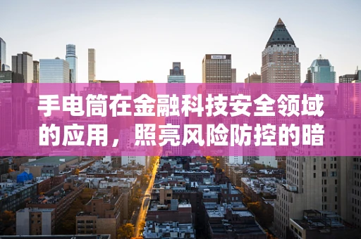 手电筒在金融科技安全领域的应用，照亮风险防控的暗角