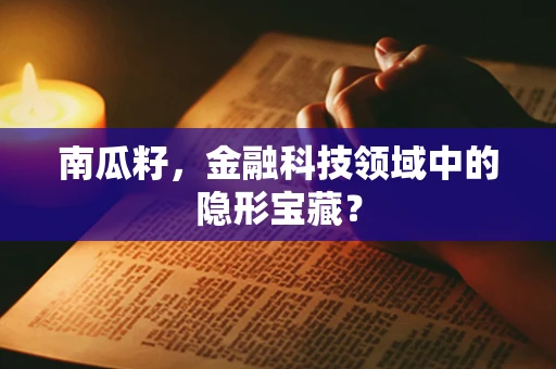 南瓜籽，金融科技领域中的隐形宝藏？