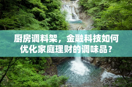厨房调料架，金融科技如何优化家庭理财的调味品？