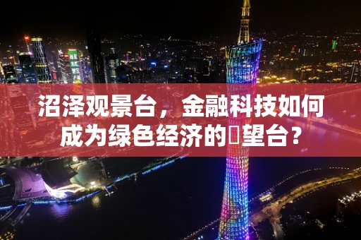沼泽观景台，金融科技如何成为绿色经济的瞭望台？
