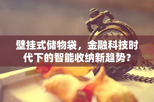 壁挂式储物袋，金融科技时代下的智能收纳新趋势？