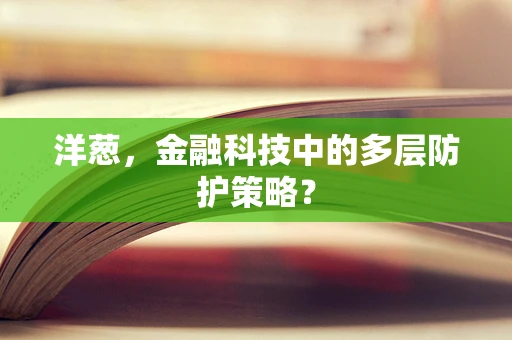 洋葱，金融科技中的多层防护策略？