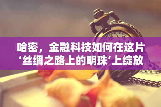 哈密，金融科技如何在这片‘丝绸之路上的明珠’上绽放新光彩？
