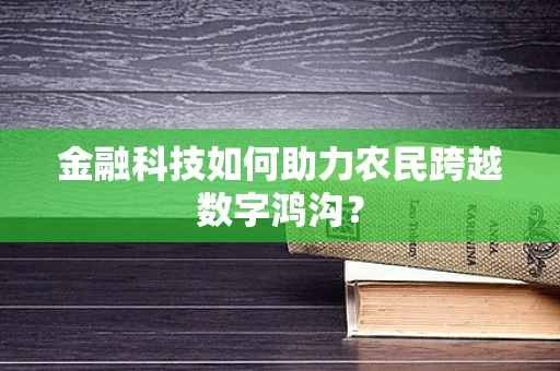 金融科技如何助力农民跨越数字鸿沟？