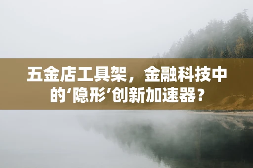 五金店工具架，金融科技中的‘隐形’创新加速器？