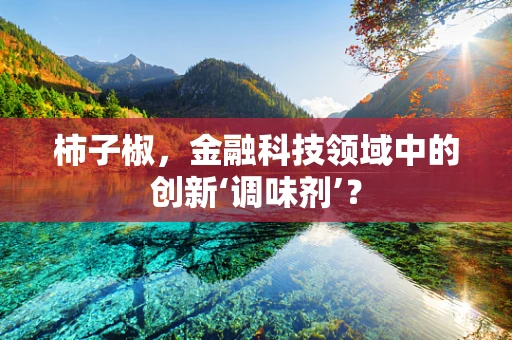 柿子椒，金融科技领域中的创新‘调味剂’？
