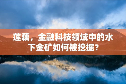 莲藕，金融科技领域中的水下金矿如何被挖掘？