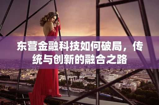 东营金融科技如何破局，传统与创新的融合之路