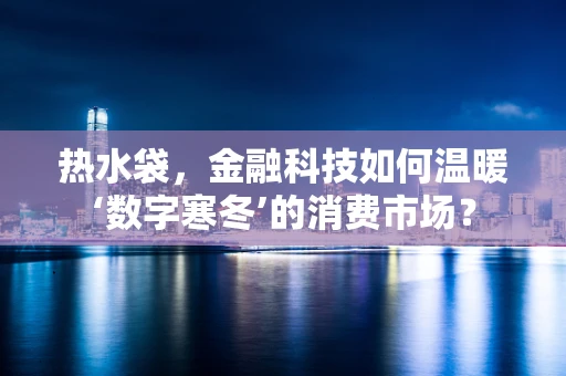 热水袋，金融科技如何温暖‘数字寒冬’的消费市场？