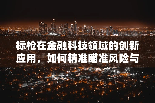 标枪在金融科技领域的创新应用，如何精准瞄准风险与效率？