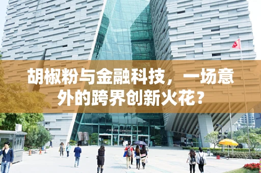 胡椒粉与金融科技，一场意外的跨界创新火花？
