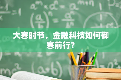大寒时节，金融科技如何御寒前行？