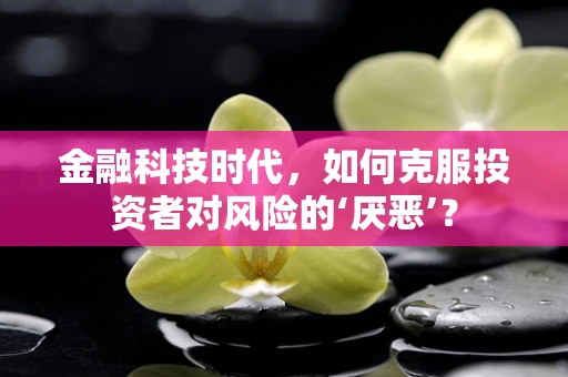 金融科技时代，如何克服投资者对风险的‘厌恶’？
