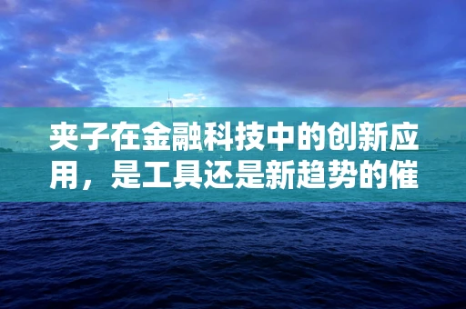 夹子在金融科技中的创新应用，是工具还是新趋势的催化剂？