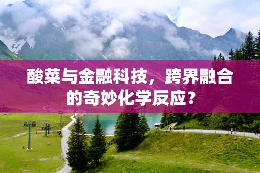 酸菜与金融科技，跨界融合的奇妙化学反应？