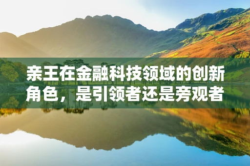 亲王在金融科技领域的创新角色，是引领者还是旁观者？