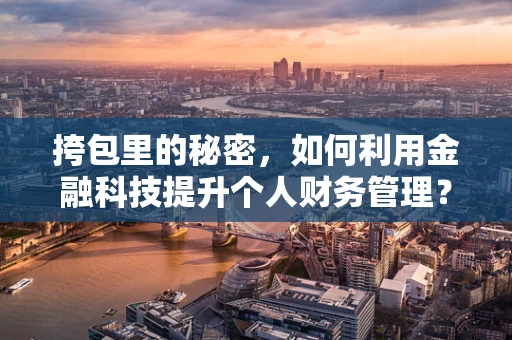 挎包里的秘密，如何利用金融科技提升个人财务管理？