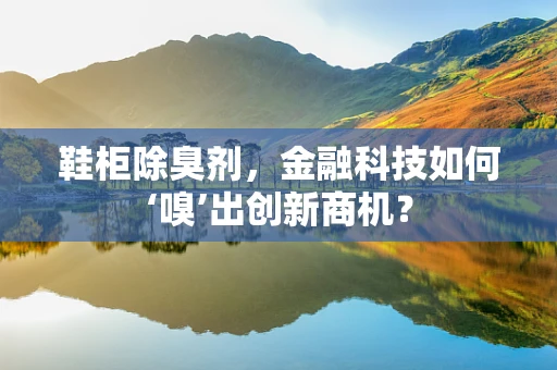 鞋柜除臭剂，金融科技如何‘嗅’出创新商机？