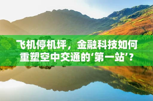 飞机停机坪，金融科技如何重塑空中交通的‘第一站’？