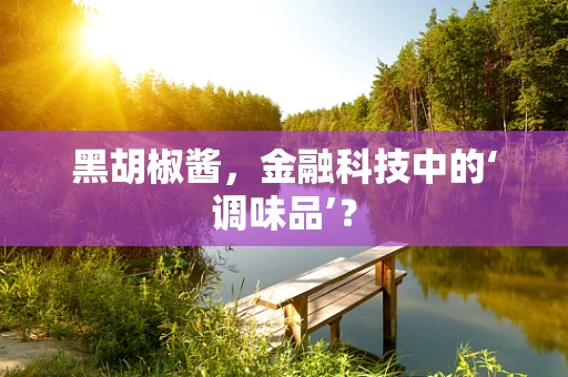 黑胡椒酱，金融科技中的‘调味品’？