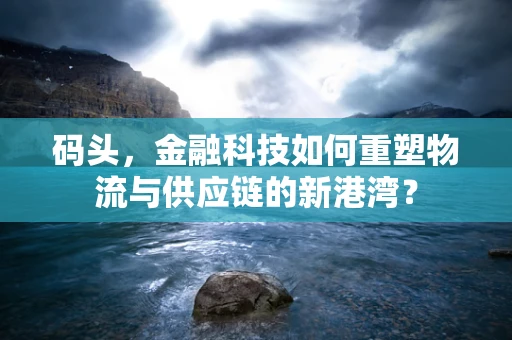 码头，金融科技如何重塑物流与供应链的新港湾？
