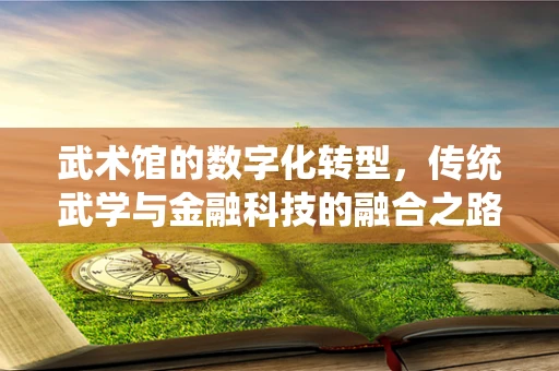 武术馆的数字化转型，传统武学与金融科技的融合之路？
