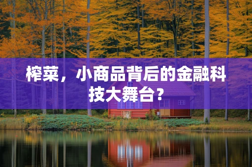 榨菜，小商品背后的金融科技大舞台？