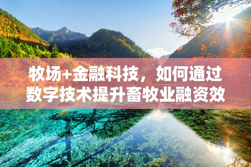 牧场+金融科技，如何通过数字技术提升畜牧业融资效率？