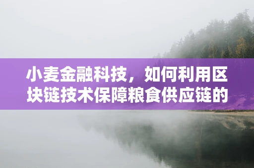 小麦金融科技，如何利用区块链技术保障粮食供应链的透明与安全？