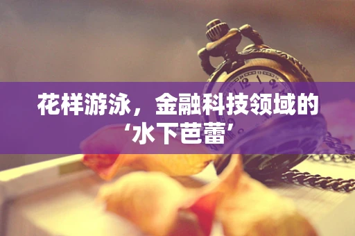 花样游泳，金融科技领域的‘水下芭蕾’
