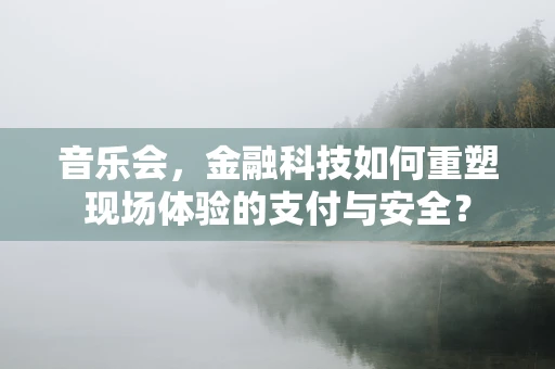 音乐会，金融科技如何重塑现场体验的支付与安全？