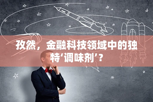 孜然，金融科技领域中的独特‘调味剂’？