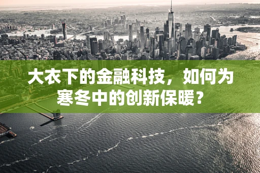 大衣下的金融科技，如何为寒冬中的创新保暖？