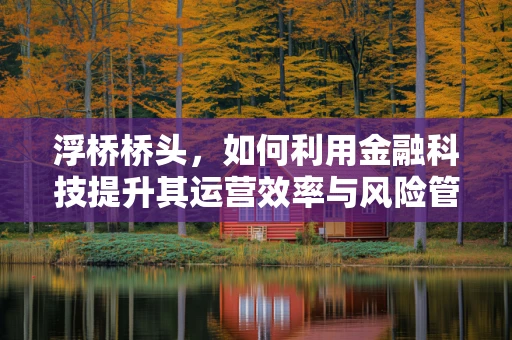 浮桥桥头，如何利用金融科技提升其运营效率与风险管理？