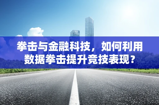 拳击与金融科技，如何利用数据拳击提升竞技表现？