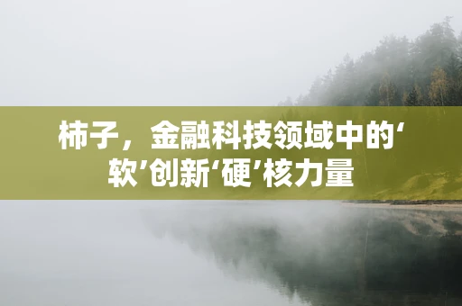 柿子，金融科技领域中的‘软’创新‘硬’核力量