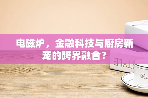 电磁炉，金融科技与厨房新宠的跨界融合？
