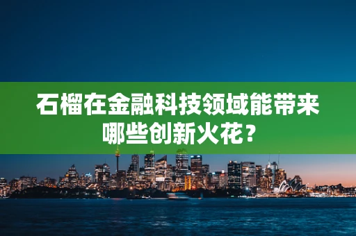 石榴在金融科技领域能带来哪些创新火花？