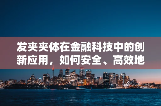 发夹夹体在金融科技中的创新应用，如何安全、高效地实现数据传输？