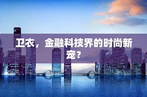 卫衣，金融科技界的时尚新宠？