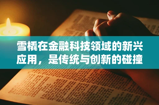 雪橇在金融科技领域的新兴应用，是传统与创新的碰撞吗？