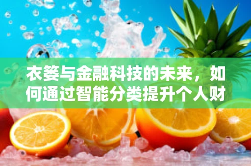 衣篓与金融科技的未来，如何通过智能分类提升个人财务管理？